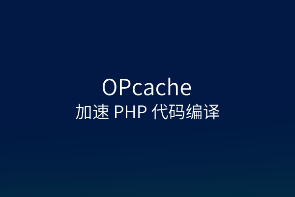 Wordpress站点启用opcache进行php代码编译加速