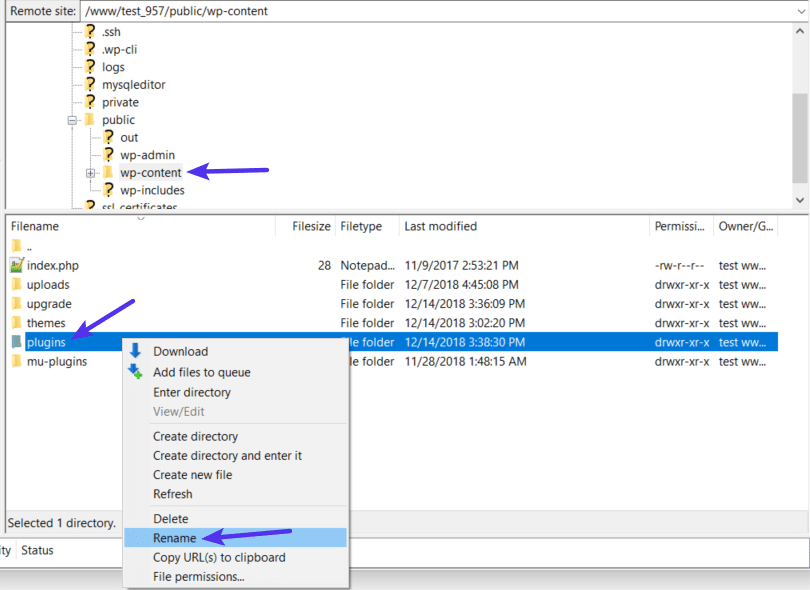 Deactivate WordPress Plugin