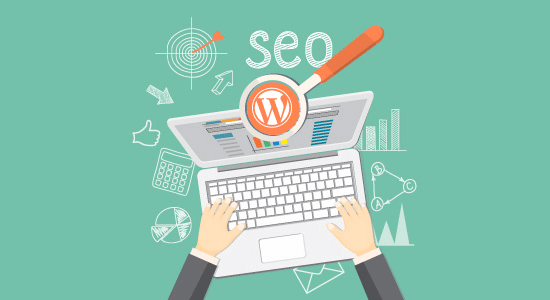 终极wordpress Seo初学者指南