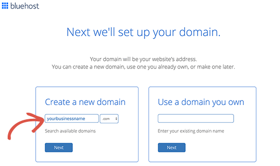 Selectdomainname