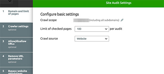 Siteaudit Settings