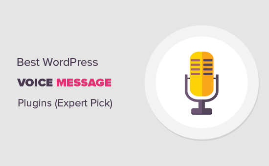 6个适用于wordpress的最佳语音消息插件