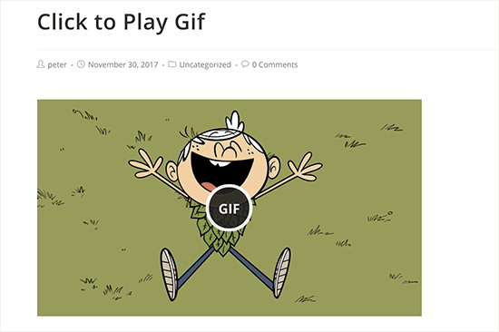 在wordpress中为gif添加点击加载