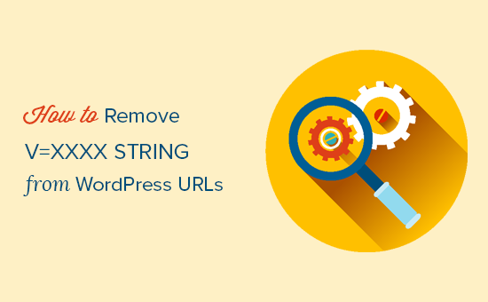 如何从wordpress Url中删除v = Xxxx字符串