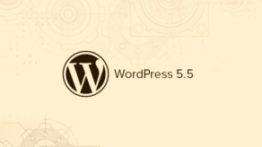 Wordpress 5.5中的新功能