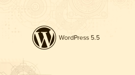 Wordpress 5.5中的新功能