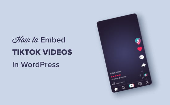 如何在wordpress中嵌入tiktok视频