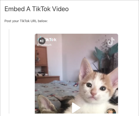 无需插件即可将tiktok视频嵌入wordpress