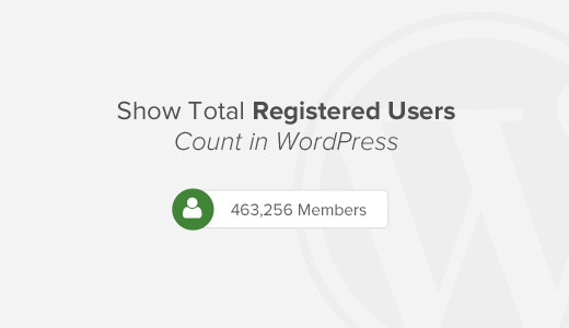 如何显示wordpress中的注册用户总数