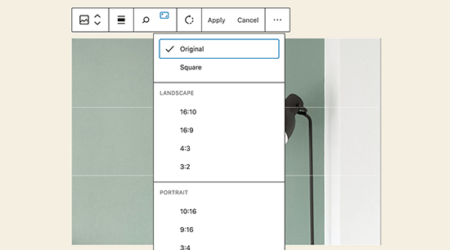 Wordpress 5.5的新功能（功能和屏幕截图）