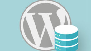 如何仅通过数据库备份来还原wordpress网站