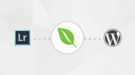 如何将照片从adobe Lightroom上传到wordpress