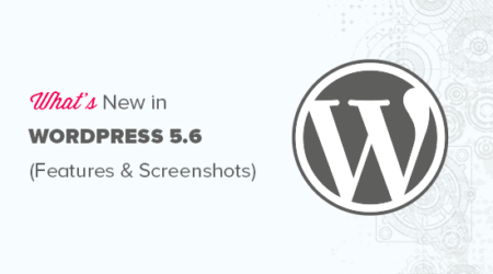 Wordpress 5.6的新增功能