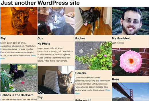 使用砌体在wordpress中添加pinterest样式发布网格
