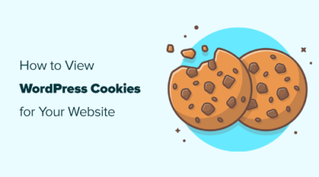 如何知道您的wordpress网站是否使用cookies