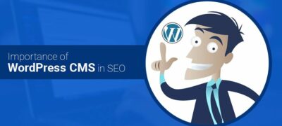 Wordpress Cms在seo中的重要性