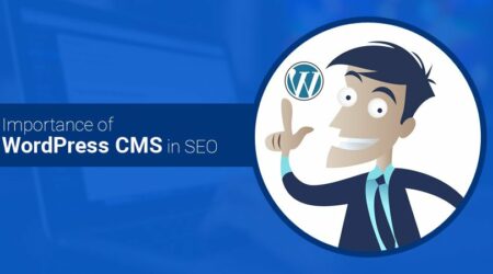 Wordpress Cms在seo中的重要性