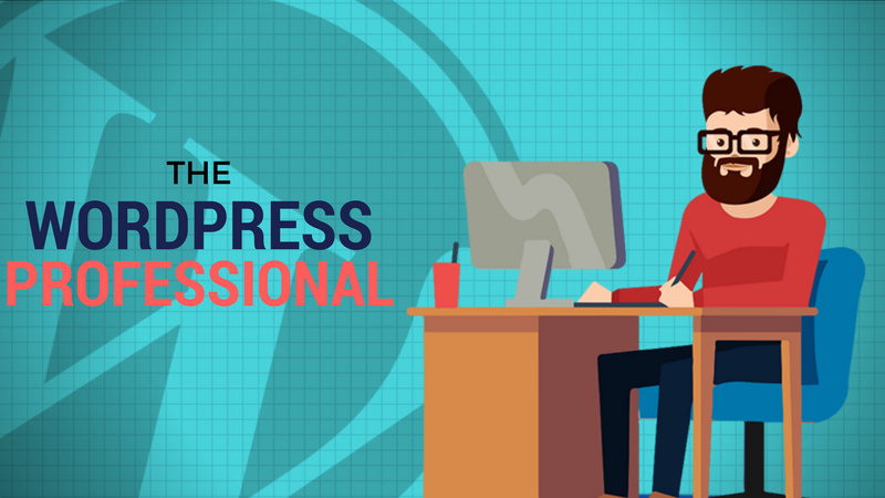 如何成为知名的wordpress网站建设专家
