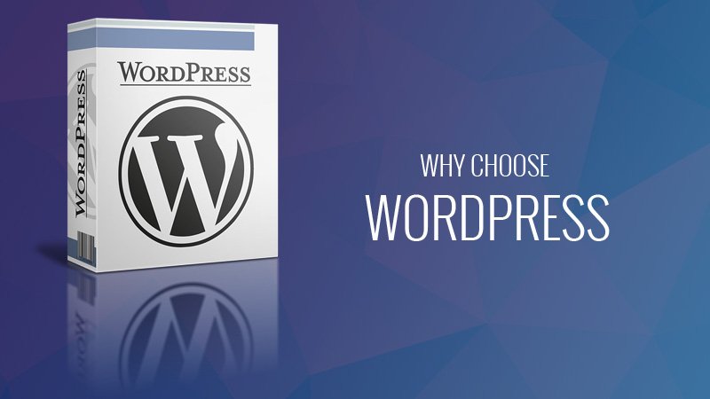 为什么选择 WordPress:选择 WordPress 的 8 个理由