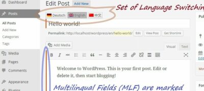 Wordpress多语言网站是拓展业务的理想选择