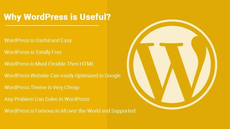 为什么 WordPress 很有用 找出8个原因