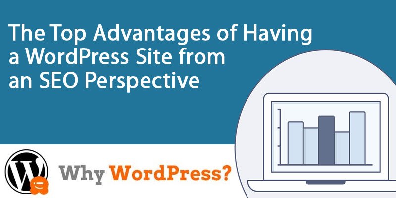 从seo的角度来看,拥有wordpress网站的最大优势