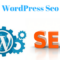 提升wordpress网站seo的值得称赞的技巧